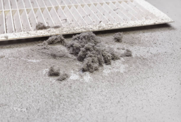 Best Commercial Air Duct Cleaning  in Gladstone, MI