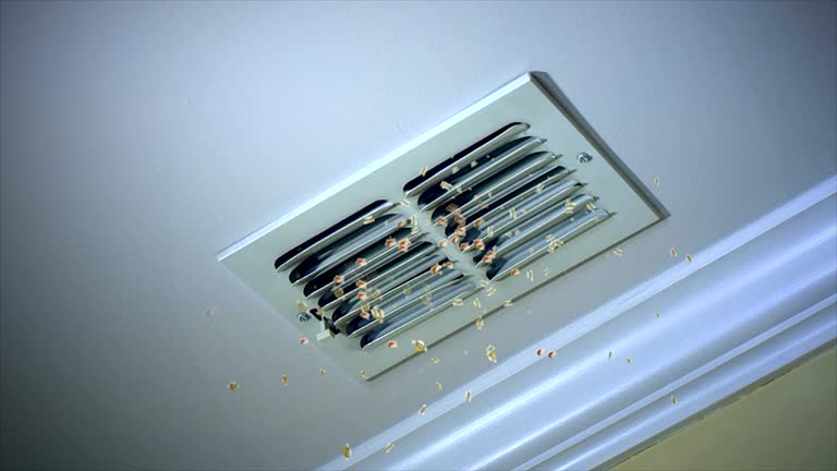 Best Home Air Vent Cleaning  in Gladstone, MI