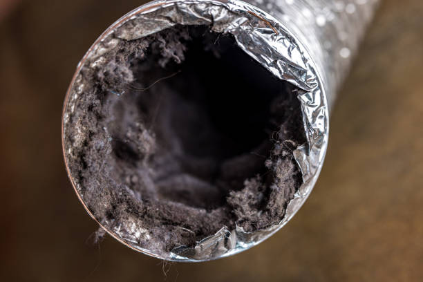 Best Air Duct Cleaning Near Me  in Gladstone, MI